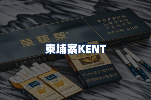 柬埔寨KENT